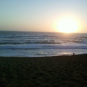 Meet your Posher, Sylvia